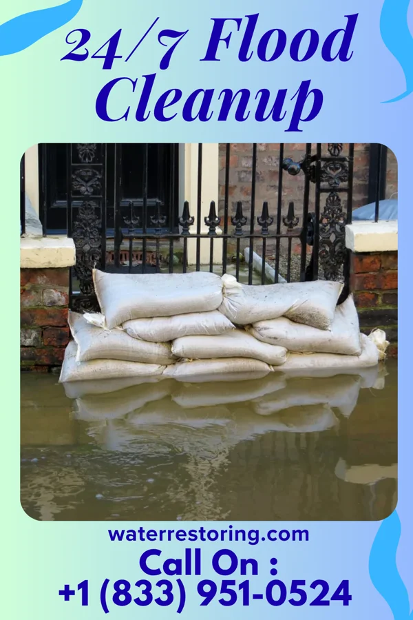 24/7 Flood Cleanup in Mountain Road, VA