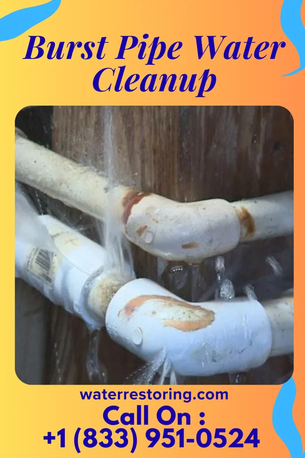 Burst Pipe Water Cleanup in Mountain Road, VA