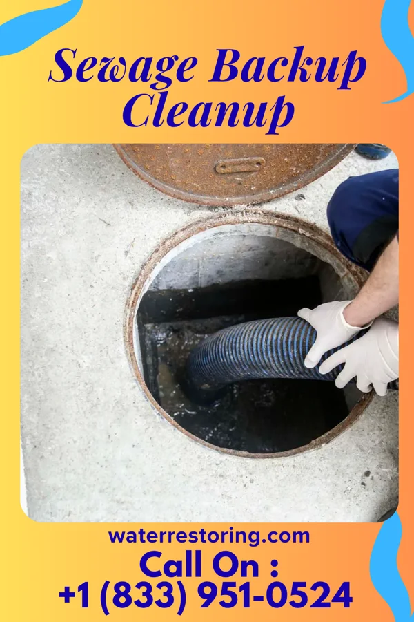 Sewage Backup Cleanup in Mountain Road, VA