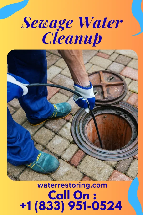 Sewage Water Cleanup in Mountain Road, VA